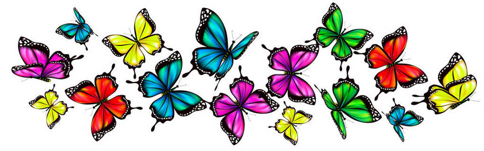 在白色背景上分离出一组鲜艳的彩色蝴蝶