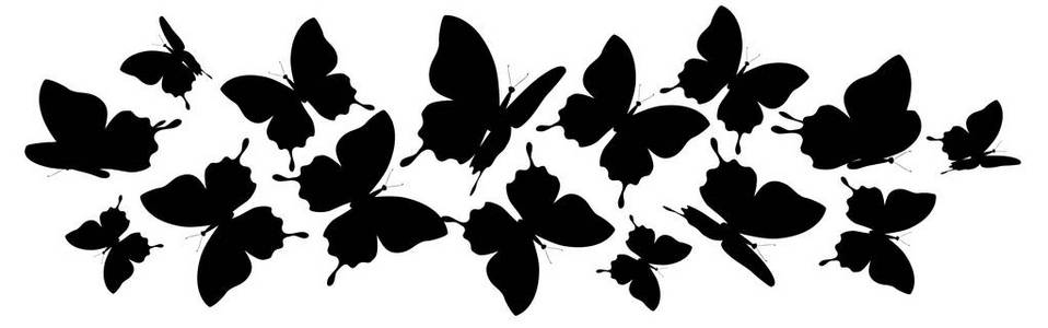 白色背景上孤立的蝴蝶黑色剪影