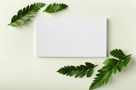 白色背景上的空白名片图片