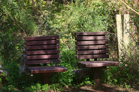 以色列开放的城市公园里有一张长凳