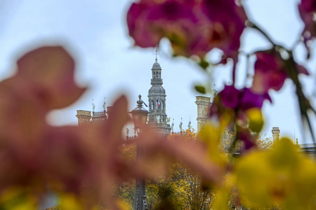 通过前景上模糊的花朵抽象地看到德维尔酒店的穹顶。 法国巴黎秋季