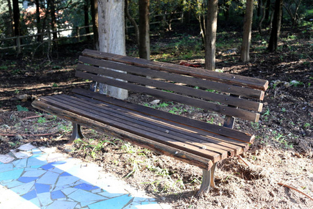 以色列开放的城市公园里有一张长凳