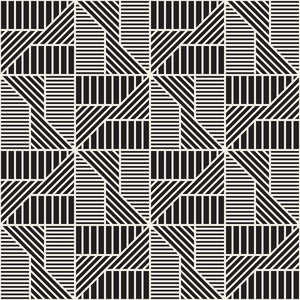 带有条纹的抽象几何图案. 矢量无缝背景. 黑白线性晶格纹理.照片