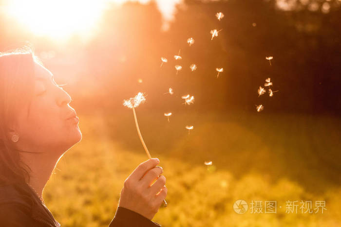 从一个年轻的女人身上剪下来,她在傍晚的阳光下吹蒲公英