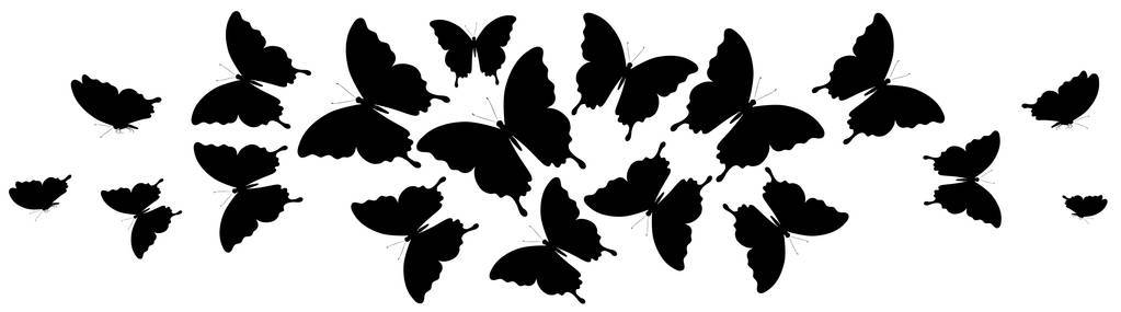 白色背景上孤立的蝴蝶黑色剪影