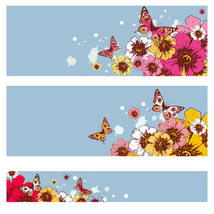 美丽的彩色蝴蝶被隔离在白色的背景上