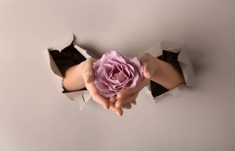 背叛, 分居, 妇女手撕夫妇的照片女人在洗手间撕手纸女青年在洗手间