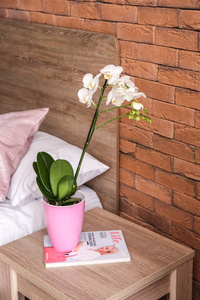卧室里放着美丽的兰花的花盆