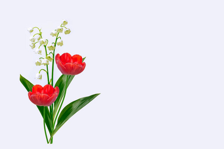 五月花香白色背景上山谷花的百合. 郁金香照片