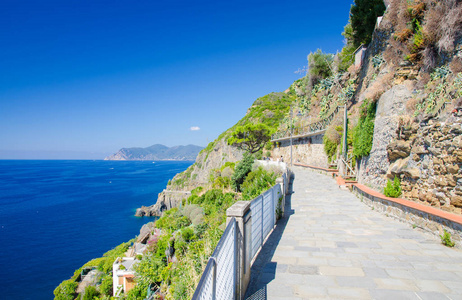  Amore road way of love in National park Cinque Terre near Rioma