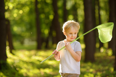 可爱的小男孩在阳光明媚的草地上用铲子网捕蝴蝶。大自然的研究。 你大自然的探险家。 好奇的孩子的暑期活动。