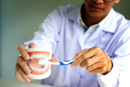 牙科医生用假牙和牙齿做口腔健康用X光纸