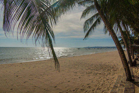 越南海岸的海滩树木海浪沙滩