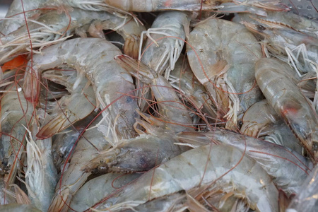 鱼类市场上的新鲜虾