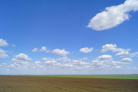 阳光明媚的天气下，在一片农田上有淡淡的云。 春天