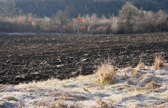 冬天的农田. 休耕. 经过加工的土壤等待春天播种. 草地上的霜.