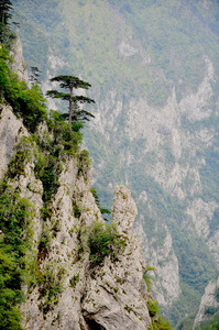 五彩缤纷的山景