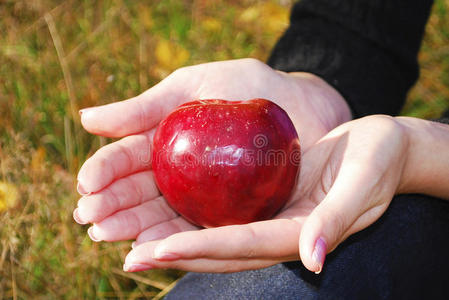 手掌上的苹果