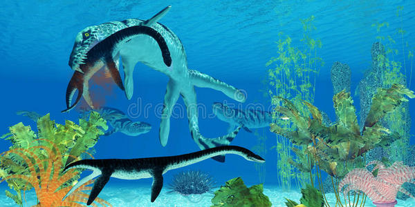 达科龙海洋爬行动物