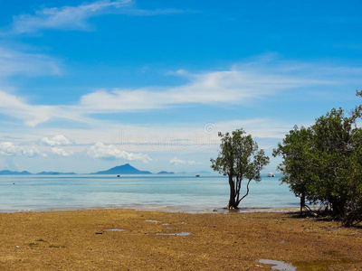 美女 悬崖 颜色 海湾 自然 风景 海滩 边缘 环境 泻湖