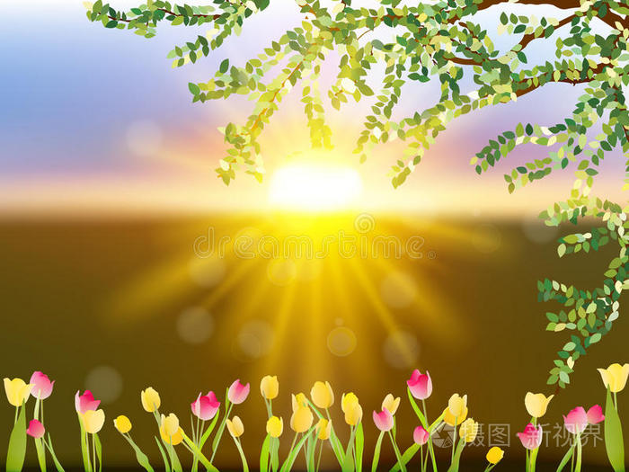 郁金香的春天景色每股收益10