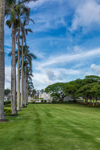夏威夷棕榈树和绿色草坪的小巷