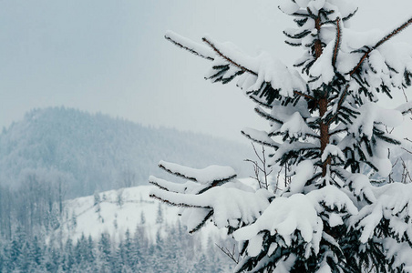冬季乡村的山景与积雪覆盖的云杉树森林在雾蒙蒙的遥远背景下。 风景如画宁静的温特场景欧洲度假胜地