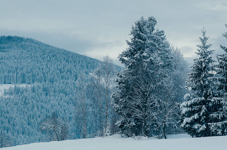 美丽的冬季山景，远处的白雪森林。 风景如画，宁静的温特里场景，欧洲度假胜地。 阴天