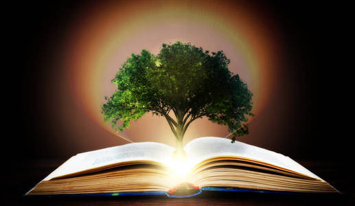 一本书或一棵知识树的概念，一棵树从一本开放的书中生长出来