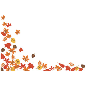 秋天的叶子颜色图标。 感恩节快乐插图元素。溢价质量图形设计图标。 网站标志和符号收集图标，网页设计，移动应用程序，白色背景