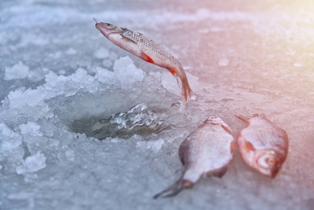 冰洞捕鱼。 寒冷天气的冬季捕鱼概念
