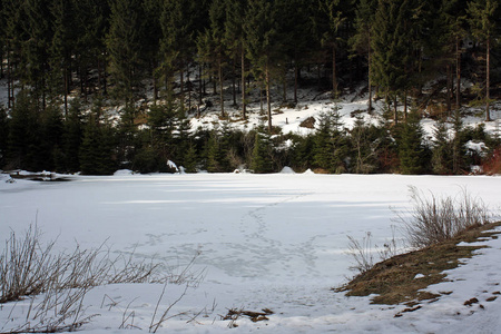 浪漫的冬天图片，森林里有很多雪，降雪时有一堆树干