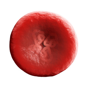 血红蛋白或血红蛋白，Hb或Hgb，是红细胞中含铁的氧转运金属蛋白。血液中的血红蛋白将氧气从肺部或鳃输送到身体的其他部位。它释放氧