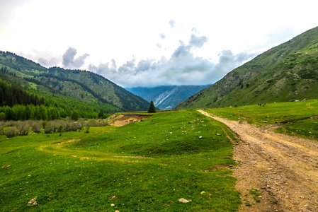 吉吉列夫卡峡与库吉阿拉太山脉森林汽车道路轨道。