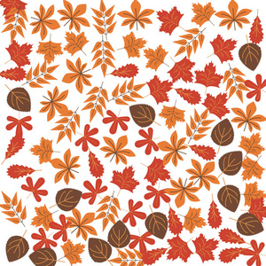 秋天的叶子颜色图标。 感恩节快乐插图的元素。 优质平面设计图标。 白色背景下网站移动应用程序的标志和符号收集图标