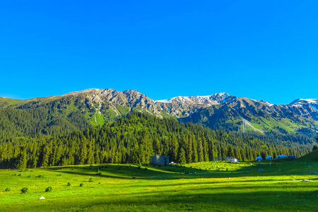 卡拉科尔峡谷度假胜地，景观雪顶特斯基阿拉太山山脉酸奶营地