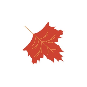 秋叶颜色图标。 感恩节快乐插图的元素。 优质平面设计图标。 网站标志和符号收集图标，网页设计，移动应用程序，白色背景