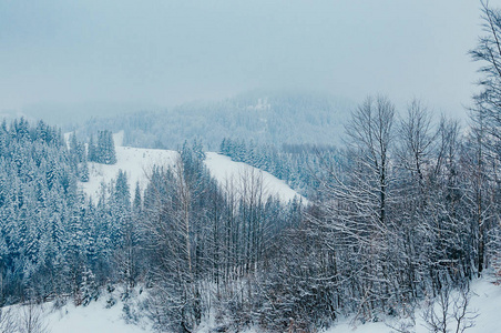 美丽的冬季山景与雪林在雾蒙蒙的遥远背景。 风景如画，宁静的温特里场景，欧洲度假胜地。 阴天