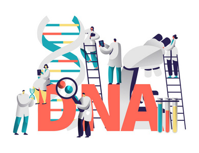 dna 基因医学测试排版横幅。化学实验室科学家团队研究基因组。人与放大镜探索染色体配对动机海报平面矢量卡通插图