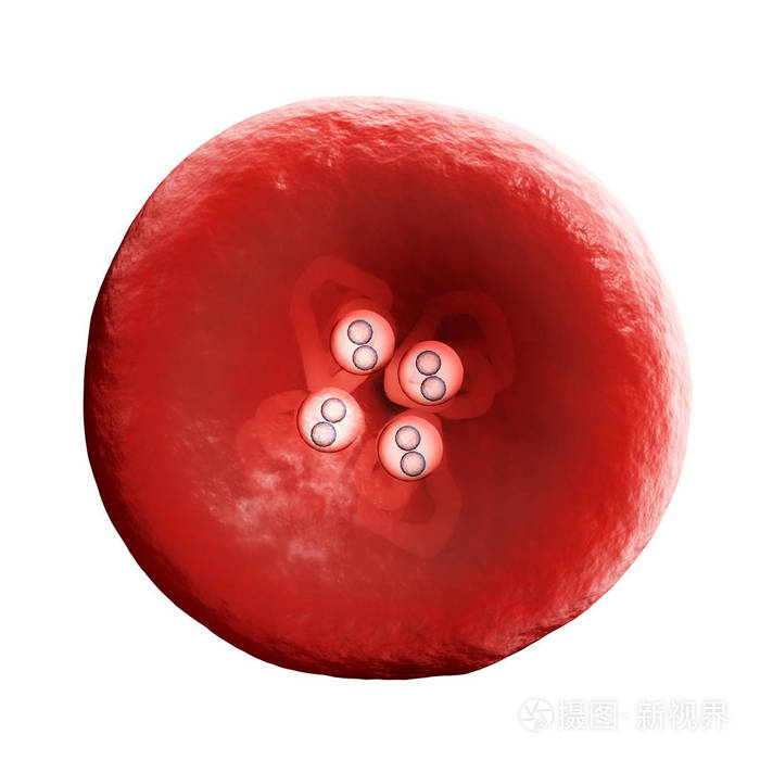 血红蛋白偏低的原因及危害是什么_低蛋白血症血红蛋白会低吗_蛋白低血红蛋白正常是什么原因