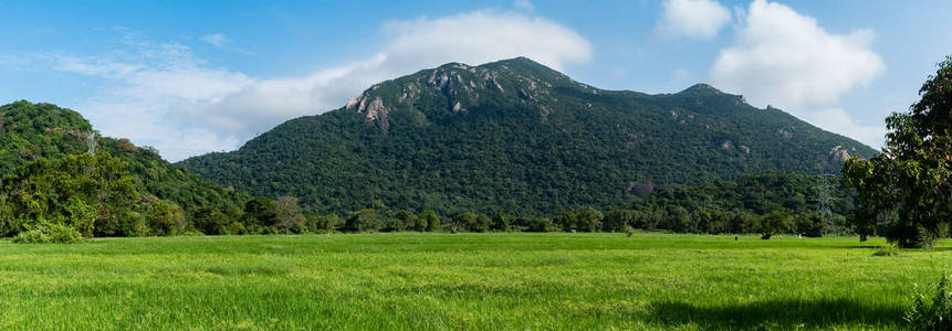 指关节山脉稻田, 斯里兰卡全景