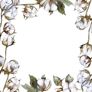 白色棉花花卉植物花。 野生春叶野花隔离。 水彩背景插图集。 水彩画时尚服装隔离。 框架边框装饰广场。