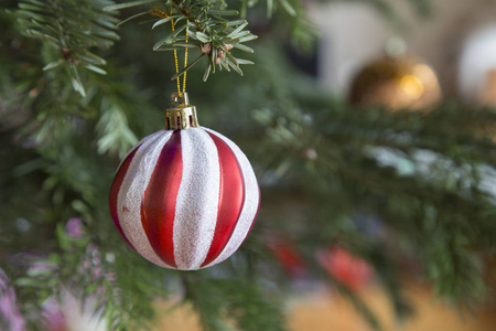 圣诞白色红球在松树的树枝上。 快关门。