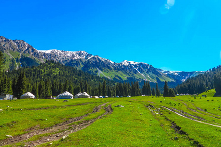 卡拉科尔峡谷度假胜地，景观雪顶特斯基阿拉太山山脉酸奶营地