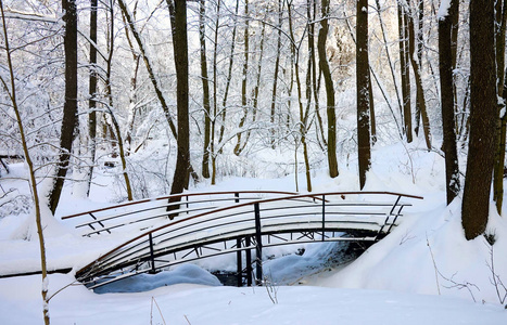 森林小河木人行桥冬季森林在雪霜的日子。