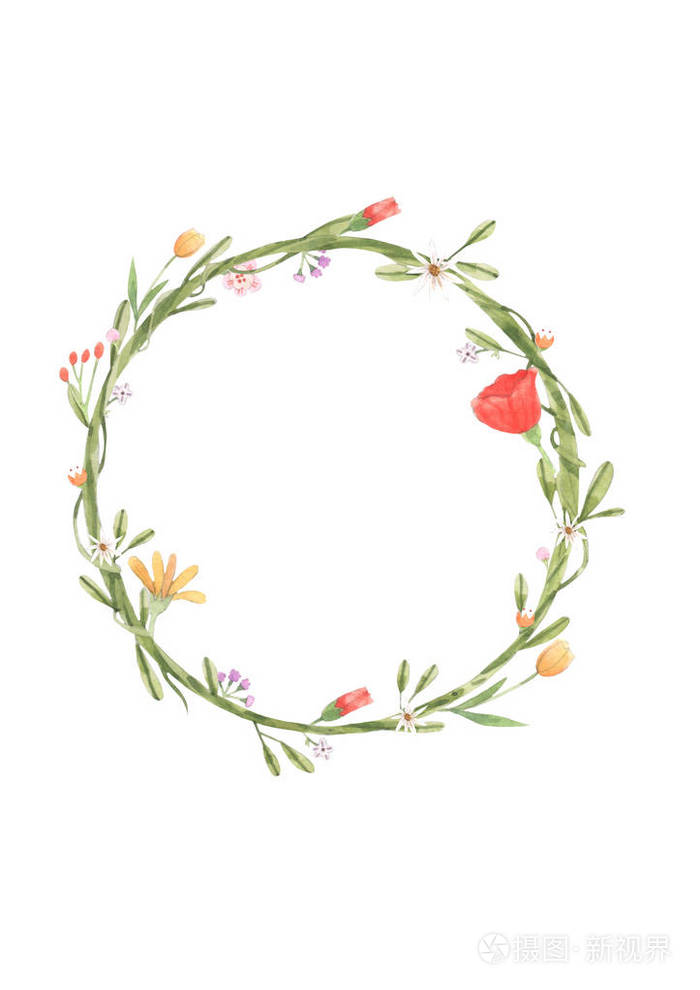 水彩画框的花藤叶. 植物学装饰概念. 在白色背景上画画.