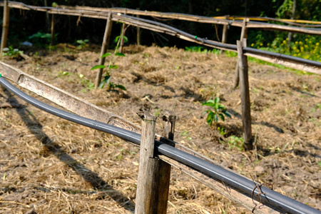 农田用水灌溉系统灌溉园林蔬菜
