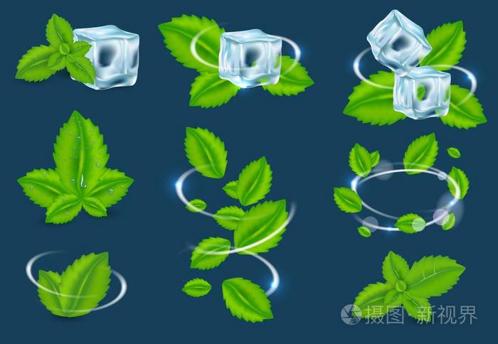 向量新鲜薄荷有机植物叶子集合插画-正版商用图片18o5et-摄图新视界