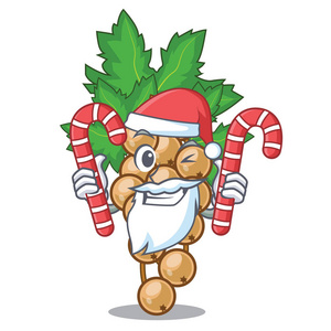 圣诞老人的吉祥物碗上的白色糖果矢量插图