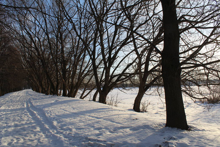 冬天森林里的路冬天森林里的路的照片。这条路被雪清除了。人们可以在寒冷的日子里行走，呼吸干净的空气。一年中霜冻的美丽景观。